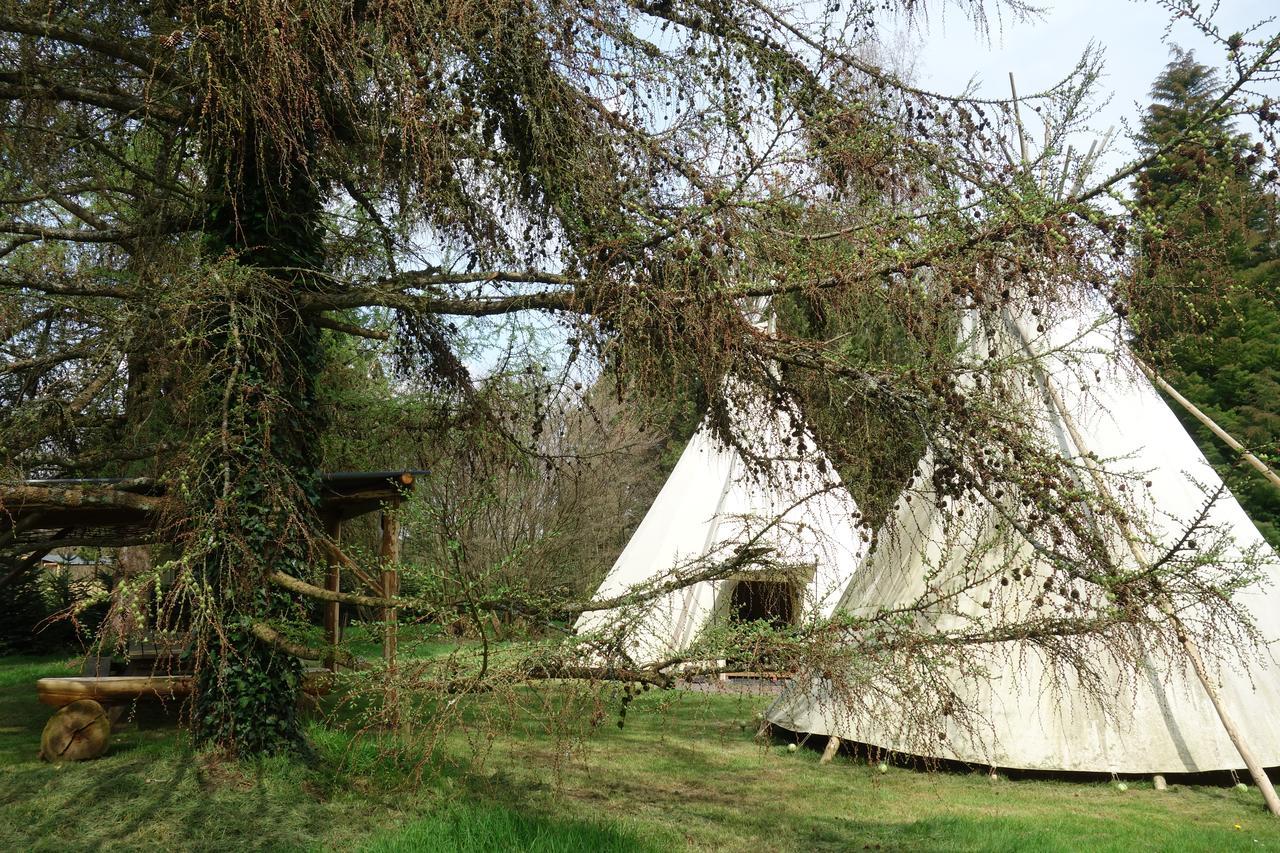 Levaltipis Saint-Gatien-des-Bois Exterior photo